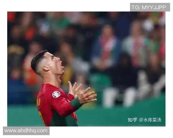 欧洲杯：葡萄牙队遗憾出局